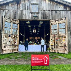 Studio Member Pottery Show